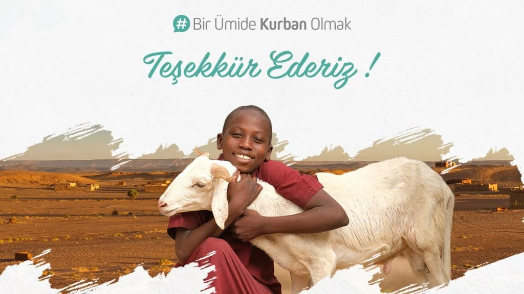 Türkiye Su Kuyusu #105